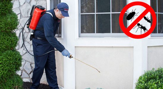 Nergiz Dezenfeksiyon böcek ilaçlama ve haşere kontrolü — ilaclama-tr.com